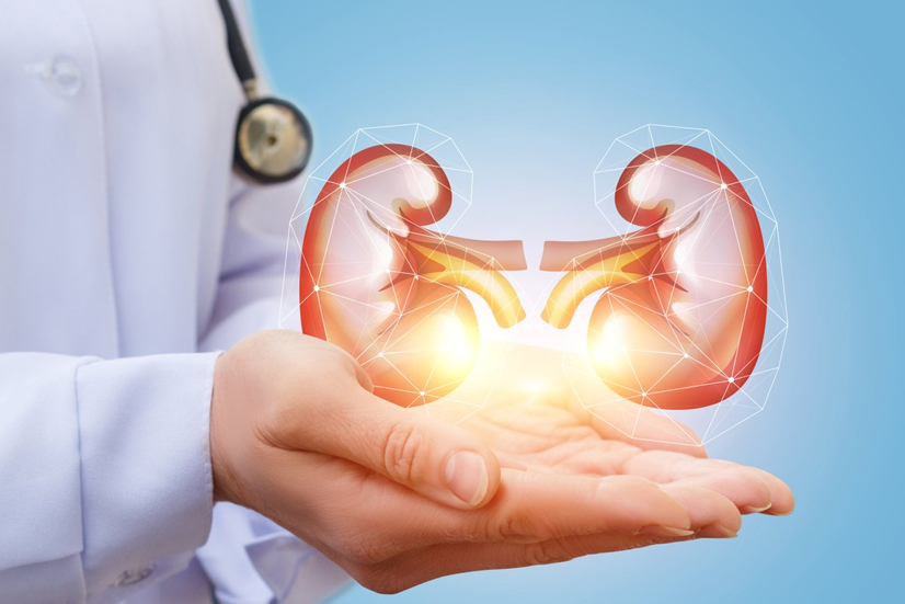 NEPHROLOGY OP available in alappuzha